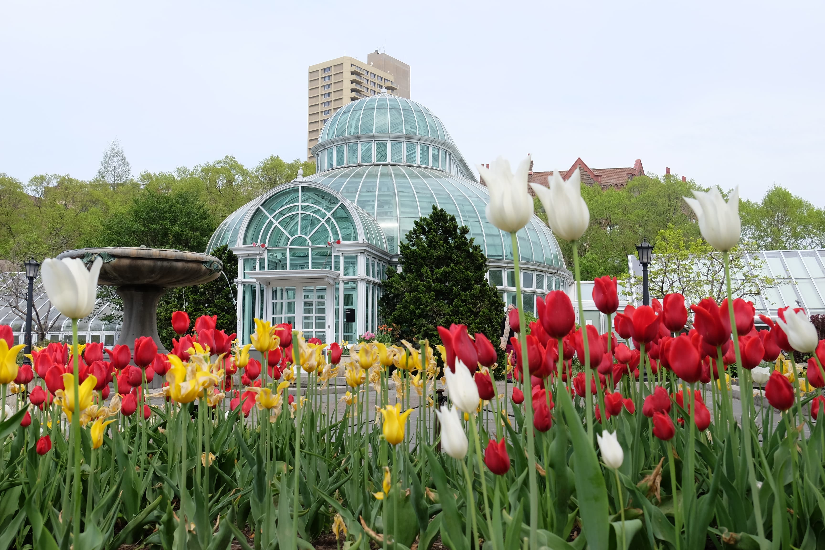 Brooklyn Botanical Garden*